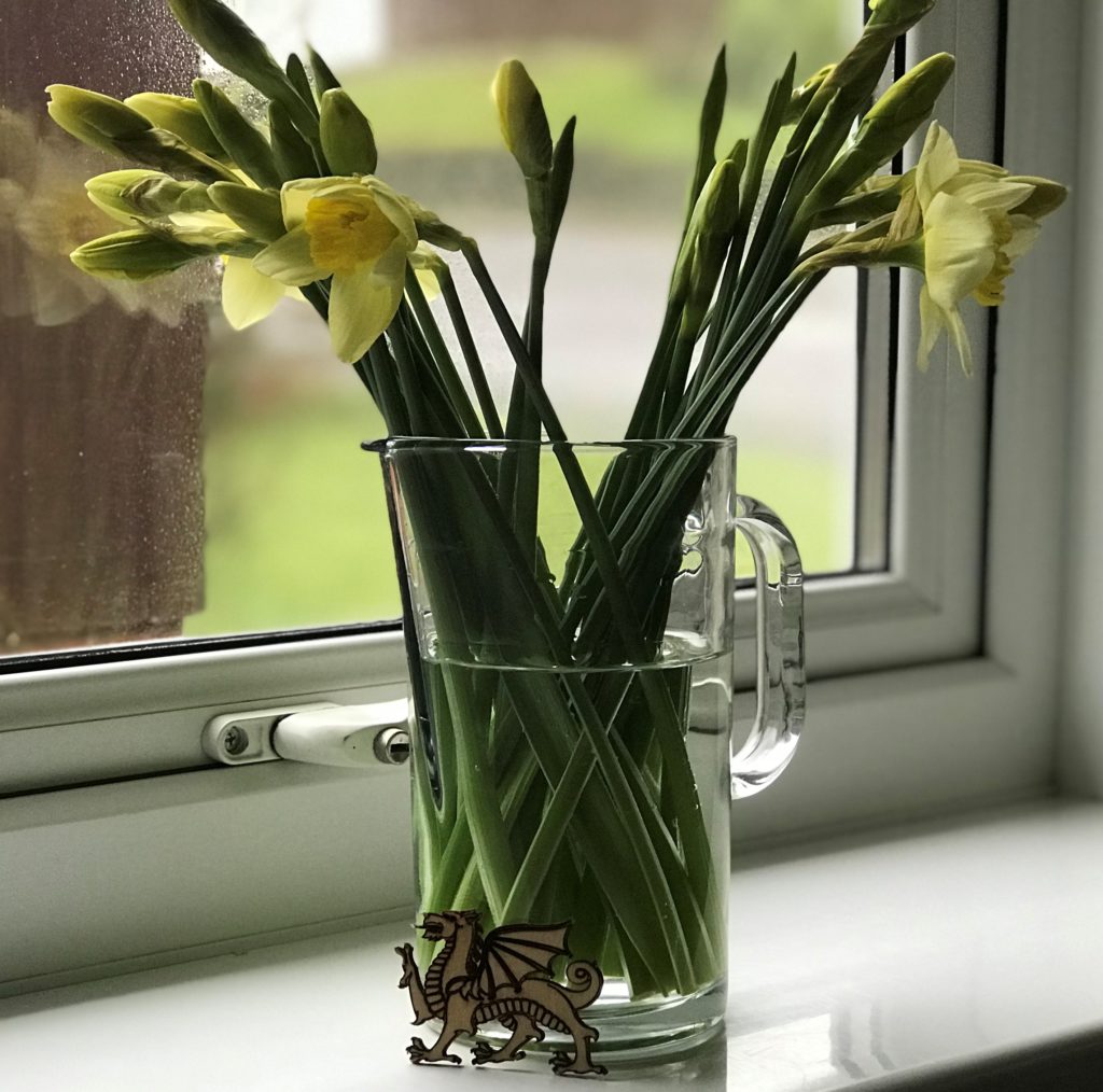 Gower Coast Ltd Self Catering Caswell Bay